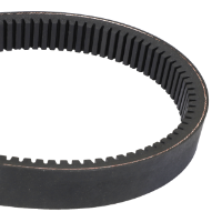 AGCO BELT 79034566V Parts - True Ag & Turf