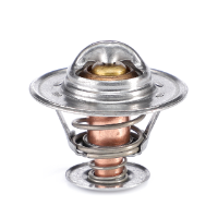 AGCO Thermostat, without Housing 1447384M1 Parts - True Ag & Turf