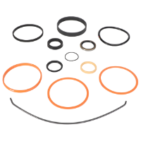 AGCO Seal Kit 700723487 Parts - True Ag & Turf