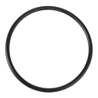 AGCO O-RING 7068089M1 Parts - True Ag & Turf