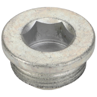 AGCO PLUG SCREW FEL132411 Parts - True Ag & Turf