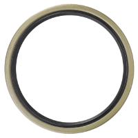 AGCO Radial Seal Ring 395527X1 Parts - True Ag & Turf