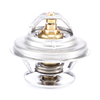 AGCO Thermostat, without Housing 72325280 Parts - True Ag & Turf