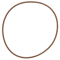 AGCO O-RING 72285204 Parts - True Ag & Turf