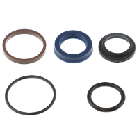 AGCO SEAL KIT 700729252 Parts - True Ag & Turf