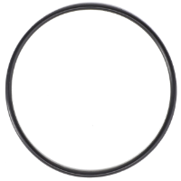 AGCO O-RING 3702478M1 Parts - True Ag & Turf