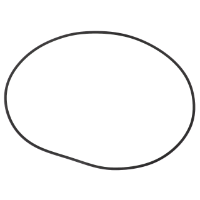 AGCO O-RING 72252574 Parts - True Ag & Turf