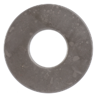 AGCO THRUST WASHER 1664589M1 Parts - True Ag & Turf