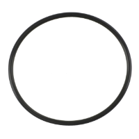 AGCO O-RING 7079051M1 Parts - True Ag & Turf