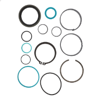 AGCO Seal Kit, Hydraulic Cylinder 72493034 Parts - True Ag & Turf