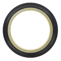 AGCO Oil Seal, Final Drive 4305963M1 Parts - True Ag & Turf