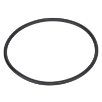 AGCO O-RING 4223837M1 Parts - True Ag & Turf