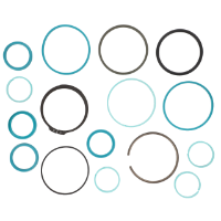 AGCO Seal Kit, Hydraulic Cylinder 72609634 Parts - True Ag & Turf