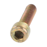 AGCO HEX SOCKET SCREW VA021394 Parts - True Ag & Turf