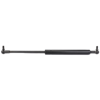 AGCO Gas Strut, Chassis/Body 4290035M91 Parts - True Ag & Turf