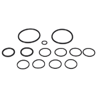 AGCO SEAL KIT 601608D1 Parts - True Ag & Turf