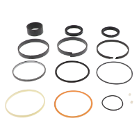 AGCO CYLINDER SEAL KIT 573787D1 Parts - True Ag & Turf