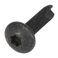 AGCO TORX HEAD SCREW CH3E-8020 Parts - True Ag & Turf
