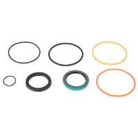AGCO SEAL KIT WR12437 Parts - True Ag & Turf
