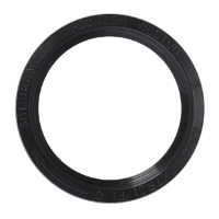 AGCO Oil Seal, Transmission 3813861M1 Parts - True Ag & Turf
