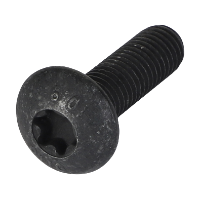 AGCO TORX HEAD SCREW CH9X-2039 Parts - True Ag & Turf