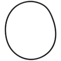 AGCO O-RING 72275067 Parts - True Ag & Turf