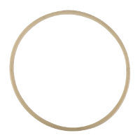 AGCO O-RING 1166111 Parts - True Ag & Turf