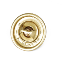 AGCO Thermostat 1447614M91 Parts - True Ag & Turf