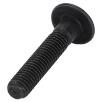 AGCO TORX HEAD SCREW ACW8111870 Parts - True Ag & Turf