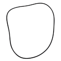 AGCO O-RING 70937289 Parts - True Ag & Turf