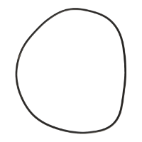 AGCO O-RING 70932824 Parts - True Ag & Turf