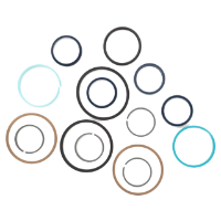 AGCO Seal Kit, Steering Cylinder 72312377 Parts - True Ag & Turf