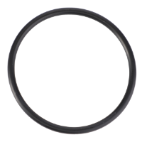 AGCO O-Ring, √ò 40,94 X 2,62 mm 72313474 Parts - True Ag & Turf