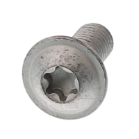 AGCO TORX HEAD SCREW ACX3743100 Parts - True Ag & Turf