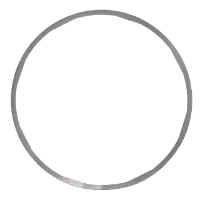 AGCO GASKET ACW7294880 Parts - True Ag & Turf
