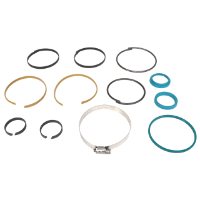 AGCO Seal Kit 593126D1 Parts - True Ag & Turf
