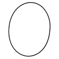 AGCO O-RING AG723988 Parts - True Ag & Turf