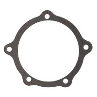 AGCO GASKET 166887AV Parts - True Ag & Turf