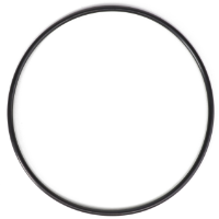 AGCO O-RING WR55427 Parts - True Ag & Turf