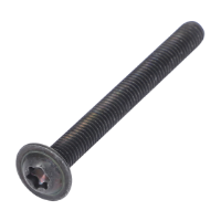 AGCO TORX SCREW ACX2339980 Parts - True Ag & Turf