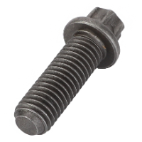 AGCO TORX SCREW 72325346 Parts - True Ag & Turf
