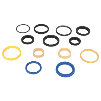 AGCO Seal Kit WR36615 Parts - True Ag & Turf