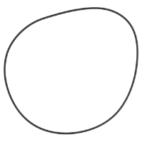 AGCO GASKET 3052594M2 Parts - True Ag & Turf