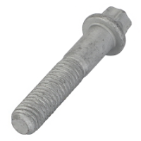 AGCO TORX SCREW 72434816 Parts - True Ag & Turf