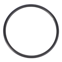 AGCO O-Ring, √ò 47,29 X 2,62 mm 3019943X1 Parts - True Ag & Turf