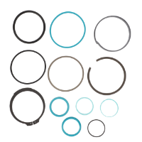 AGCO Seal Kit, Hydraulic Cylinder 72605789 Parts - True Ag & Turf