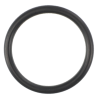 AGCO O-RING 4264753M1 Parts - True Ag & Turf