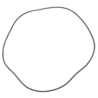 AGCO O-Ring, Transmission 3388928M1 Parts - True Ag & Turf