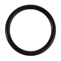 AGCO O-RING 71516605 Parts - True Ag & Turf