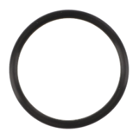 AGCO O-RING 6259177M1 Parts - True Ag & Turf